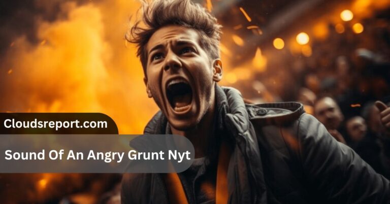 Sound Of An Angry Grunt Nyt –  Understanding Its Emotional Impact!